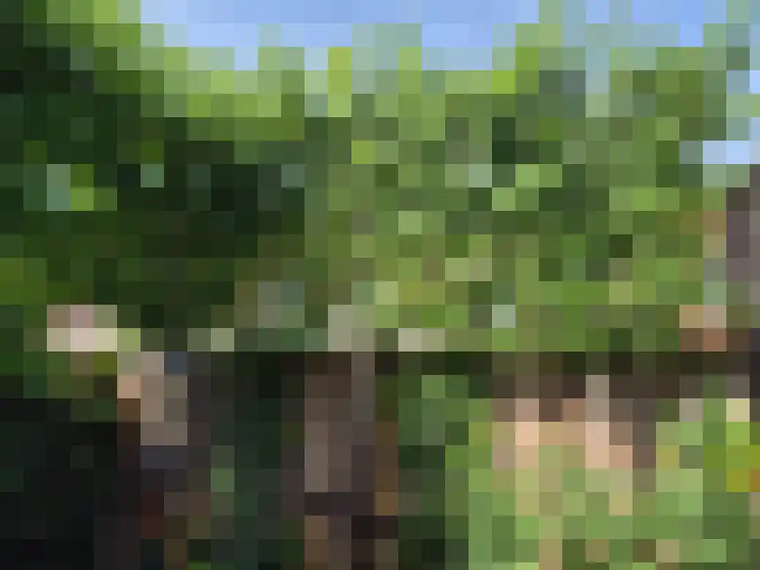 Vosweide 48 Apeldoorn thumbnail 57