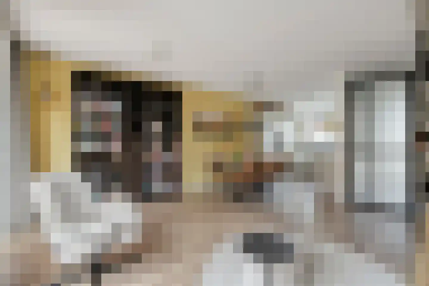 Vosweide 48 Apeldoorn thumbnail 8