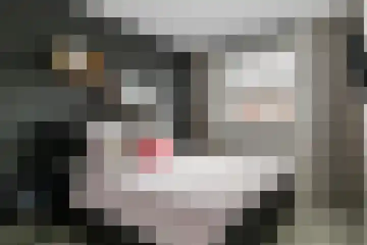 Vosweide 58 Apeldoorn thumbnail 14