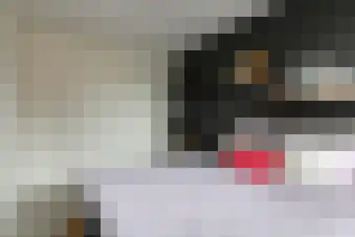Vosweide 58 Apeldoorn thumbnail 15