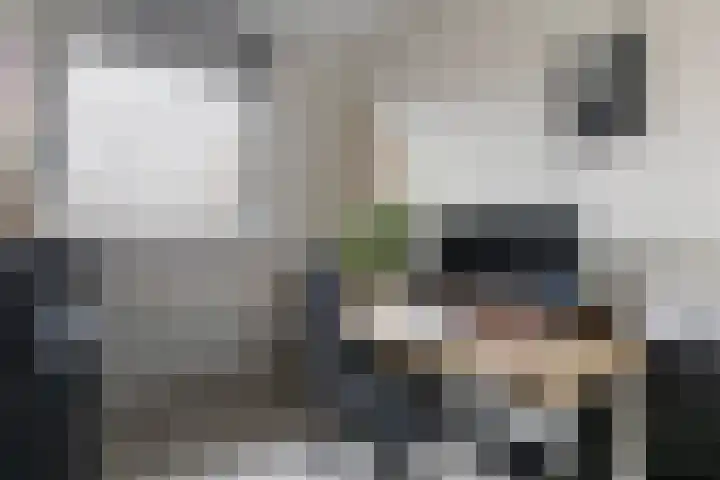 Vosweide 58 Apeldoorn thumbnail 16
