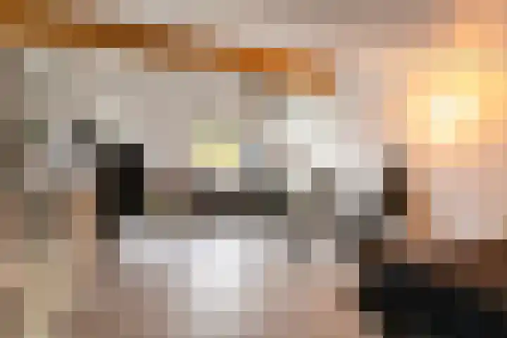 Vosweide 58 Apeldoorn thumbnail 21