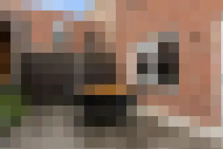 Vosweide 58 Apeldoorn thumbnail 23