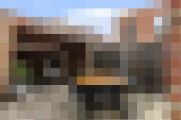 Vosweide 58 Apeldoorn thumbnail 24