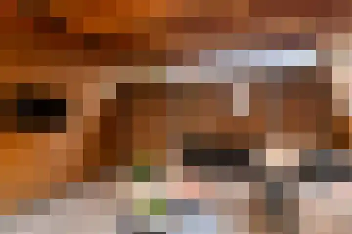 Vosweide 58 Apeldoorn thumbnail 25
