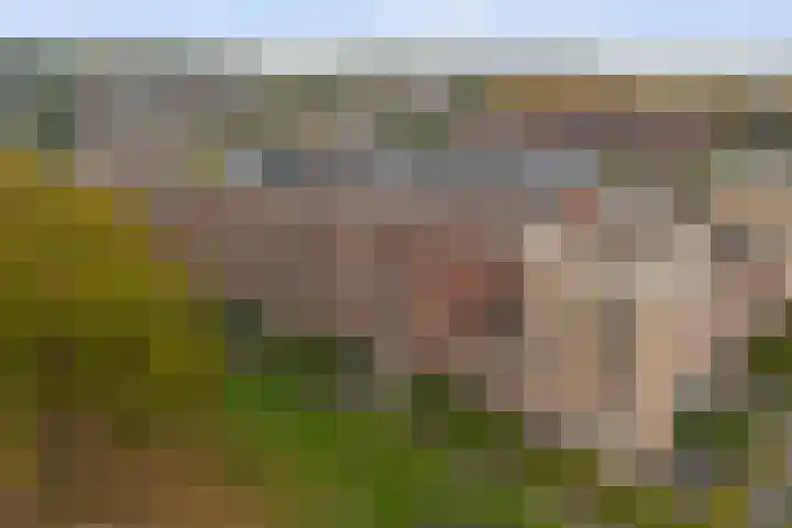 Vosweide 58 Apeldoorn thumbnail 27