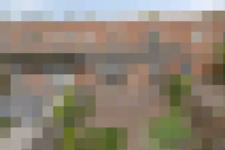 Vosweide 61 Apeldoorn thumbnail 21