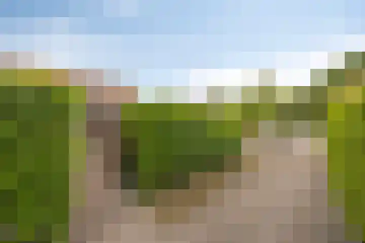 Vosweide 61 Apeldoorn thumbnail 22
