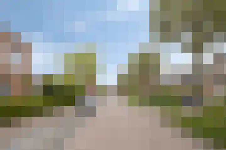 Vosweide 61 Apeldoorn thumbnail 26