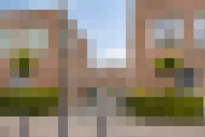 Vosweide 61 Apeldoorn thumbnail 28