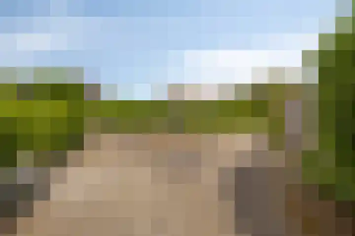 Vosweide 61 Apeldoorn thumbnail 31