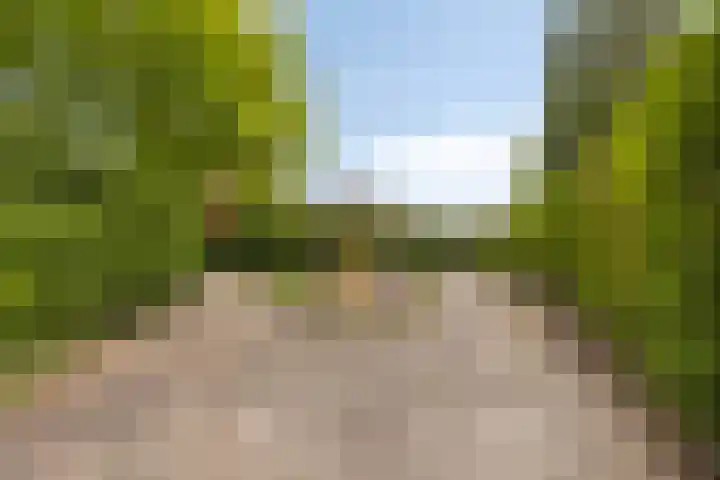 Vosweide 61 Apeldoorn thumbnail 32