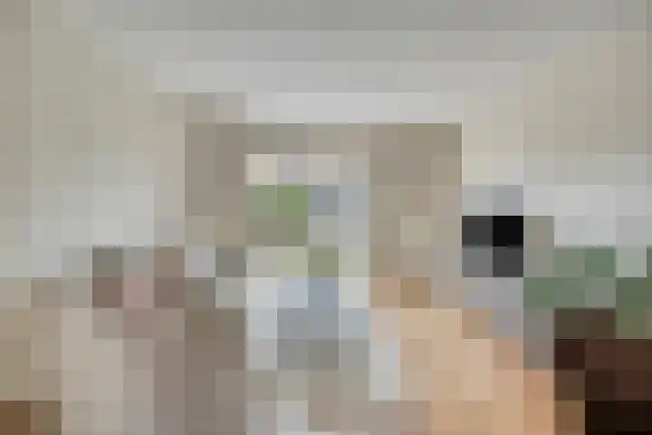 Vosweide 61 Apeldoorn thumbnail 4