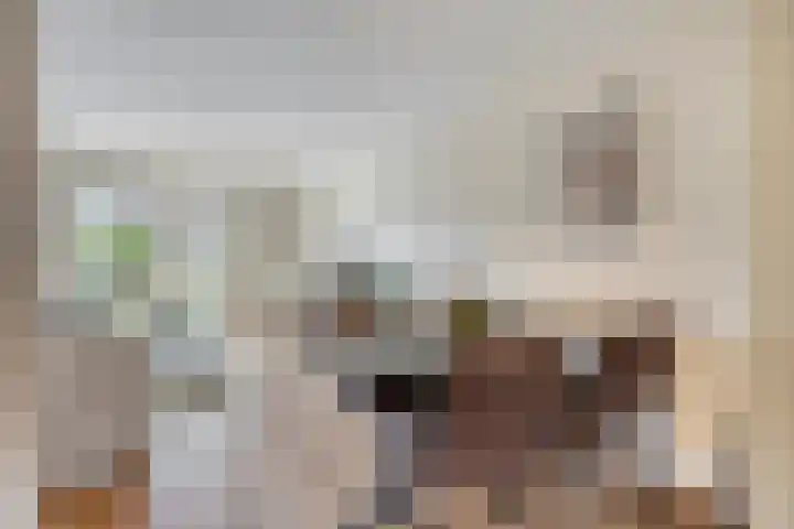 Vosweide 61 Apeldoorn thumbnail 7