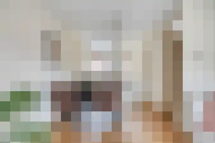 Vosweide 61 Apeldoorn thumbnail 8