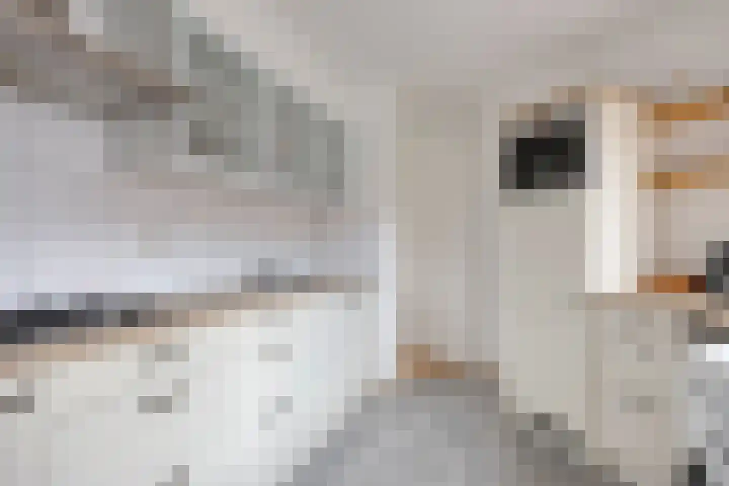 Vosweide 65 Apeldoorn thumbnail 14