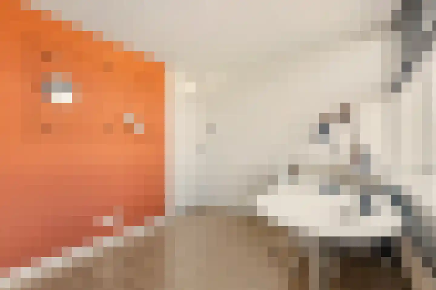 Voswijckstraat 10 Monster thumbnail 16