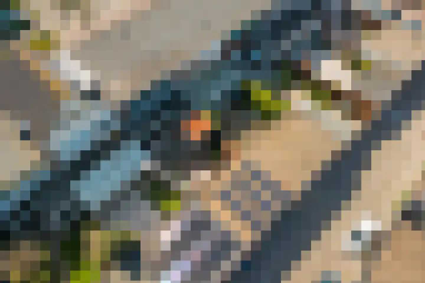 Voswijckstraat 10 Monster thumbnail 36