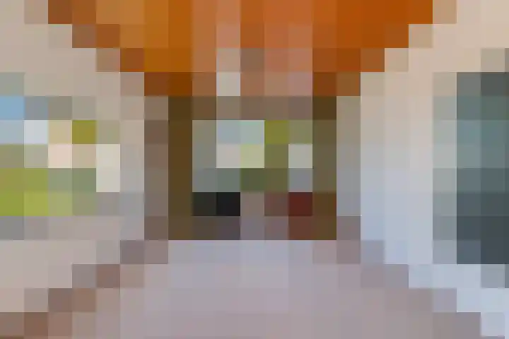 Voswijckstraat 11 Monster thumbnail 11