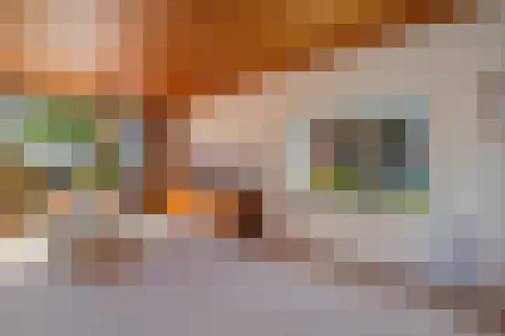 Voswijckstraat 11 Monster thumbnail 12