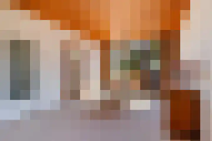 Voswijckstraat 11 Monster thumbnail 13
