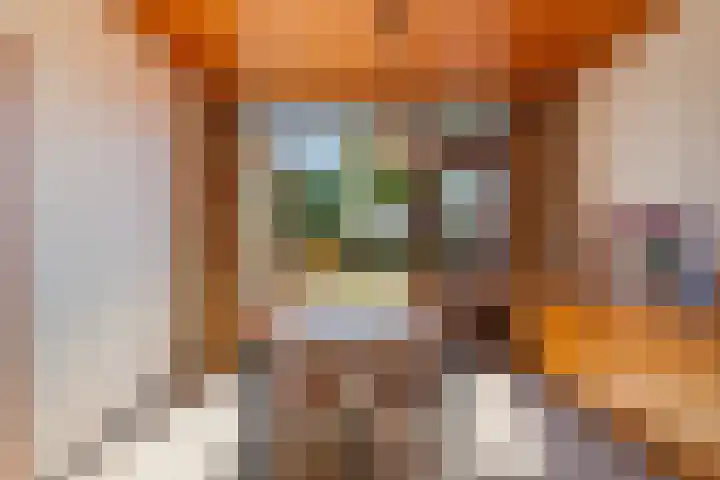 Voswijckstraat 11 Monster thumbnail 14