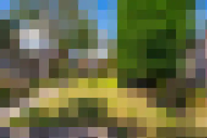 Voswijckstraat 11 Monster thumbnail 20