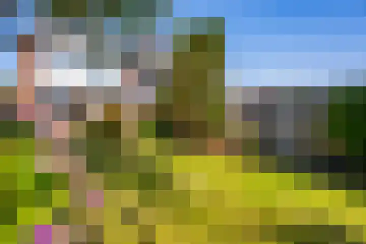 Voswijckstraat 11 Monster thumbnail 22