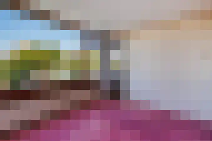 Voswijckstraat 11 Monster thumbnail 31