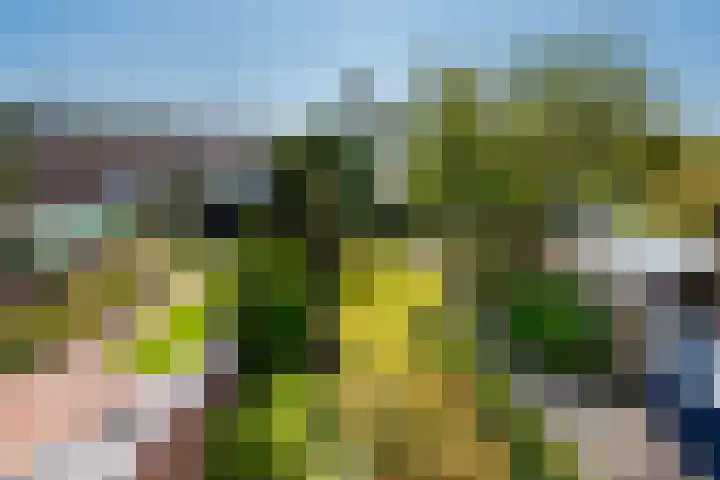 Voswijckstraat 11 Monster thumbnail 43