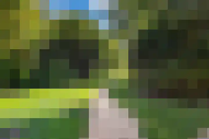 Voswijckstraat 11 Monster thumbnail 52