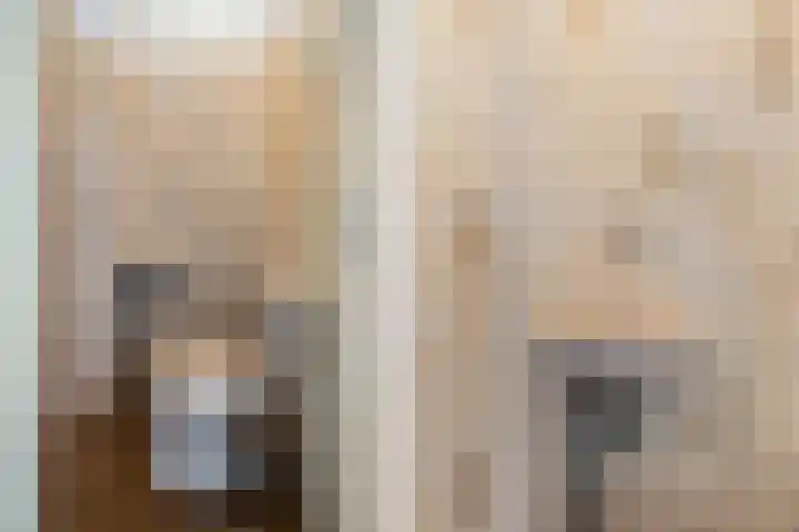 Voswijckstraat 11 Monster thumbnail 9