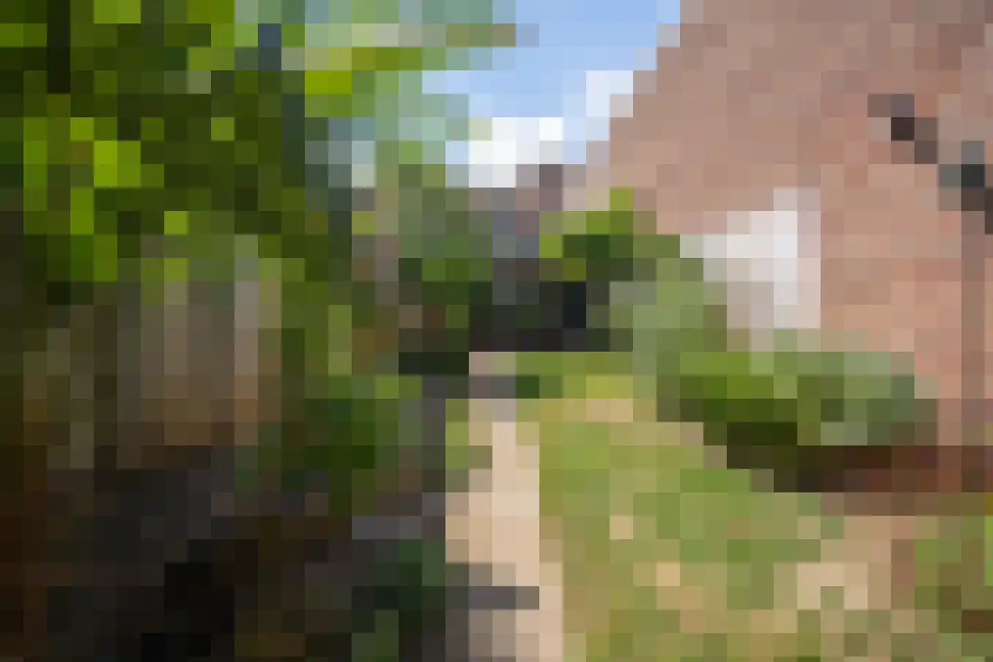 Vouerweg 29 Sittard thumbnail 20