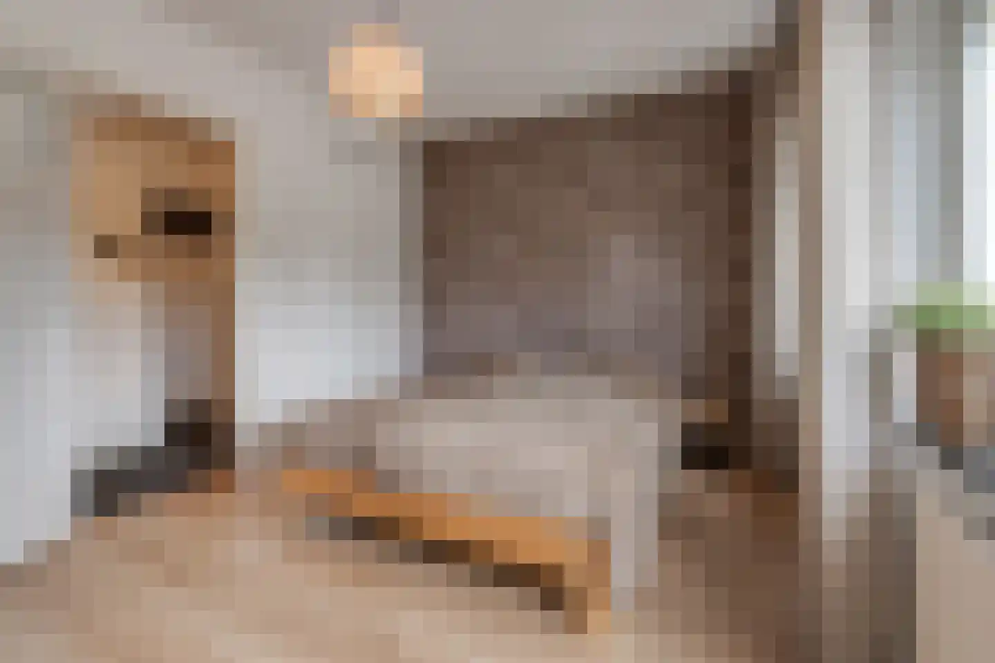 Vouerweg 29 Sittard thumbnail 30