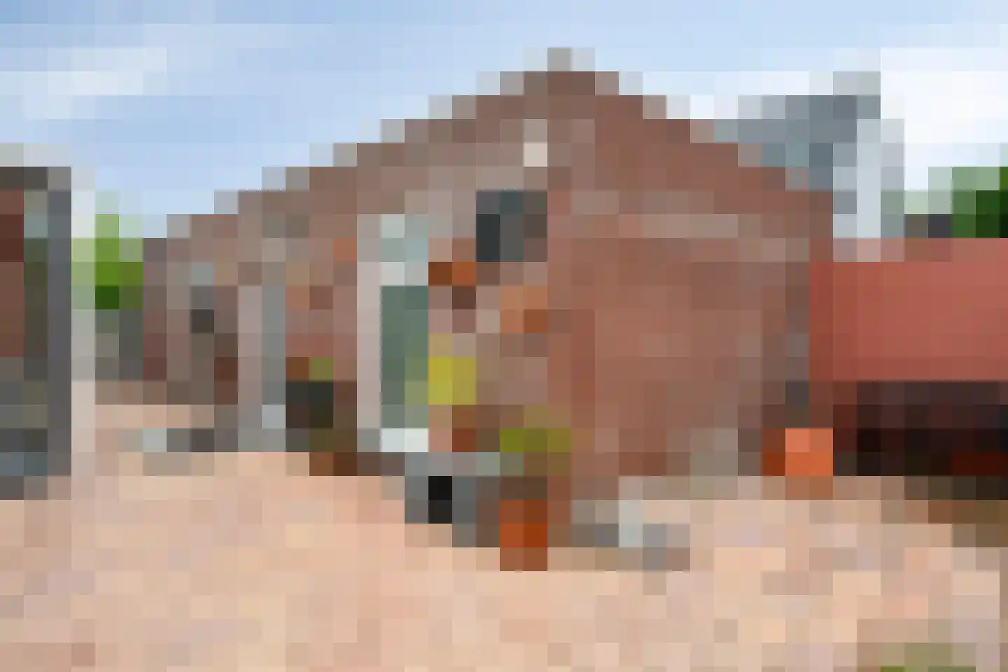 Vouerweg 46 Sittard thumbnail 11