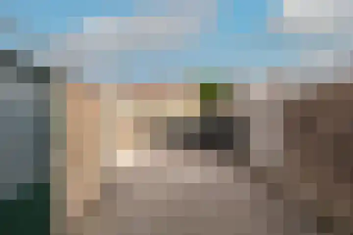 Vouter 15 Medemblik thumbnail 33