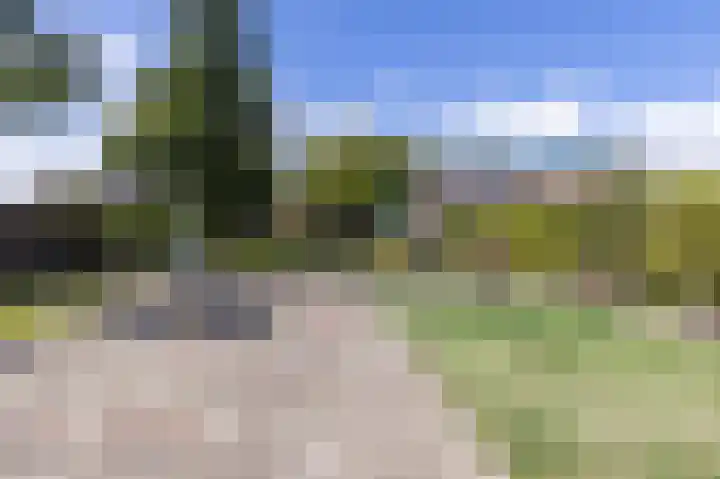 Vouter 6 Medemblik thumbnail 28