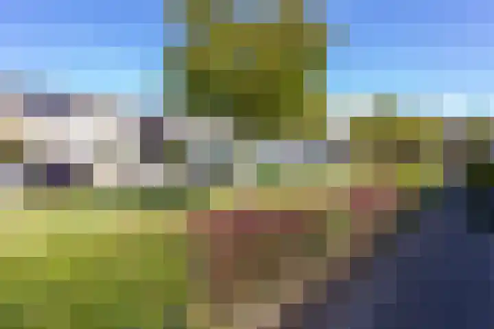 Vouter 6 Medemblik thumbnail 47