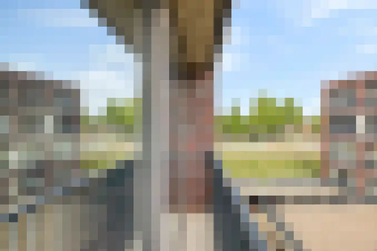 Vrachelsedijk 121 Oosterhout thumbnail 32