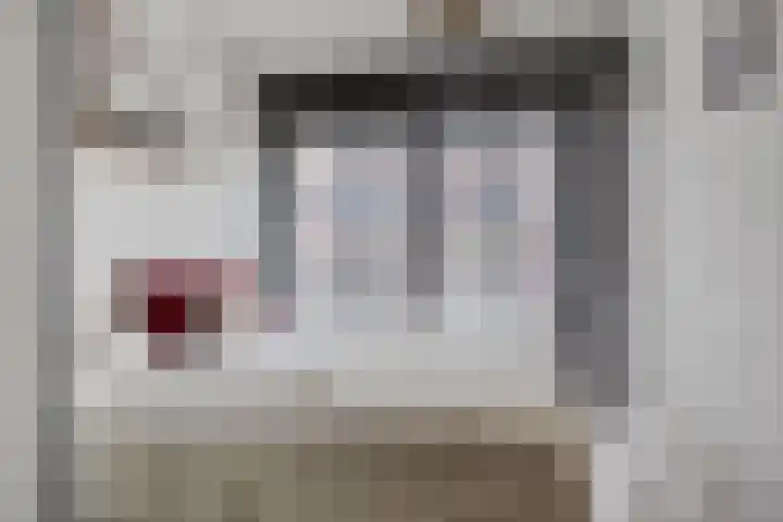 Vrachelsedijk 125 Oosterhout thumbnail 16