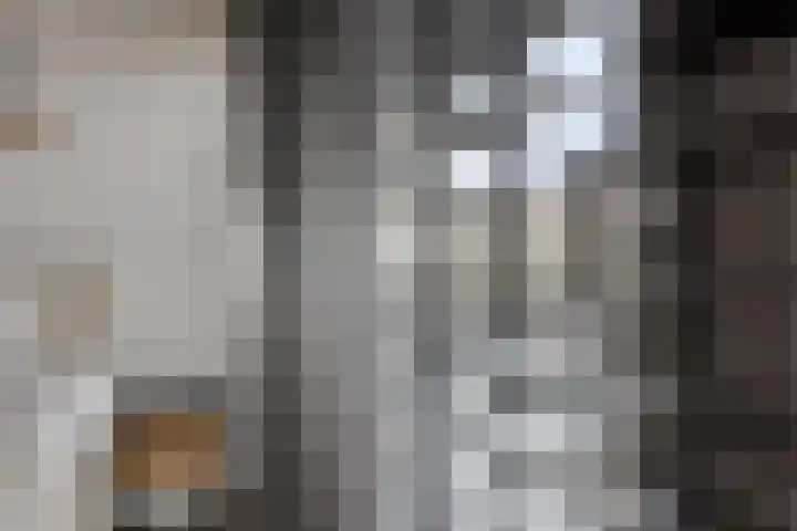 Vrachelsedijk 125 Oosterhout thumbnail 17
