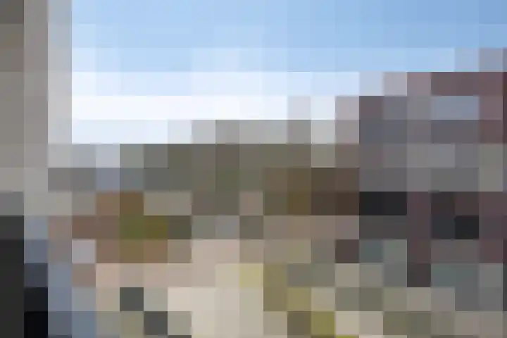 Vrachelsedijk 125 Oosterhout thumbnail 23