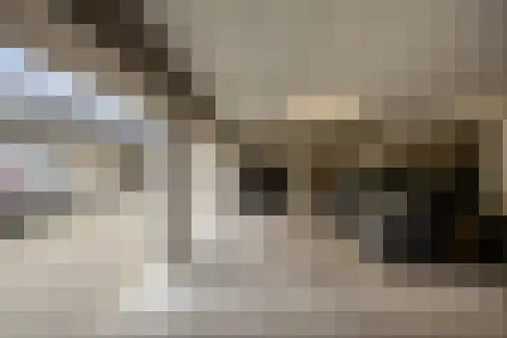 Vrachelsedijk 125 Oosterhout thumbnail 24