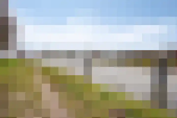 Vrachelsedijk 125 Oosterhout thumbnail 27