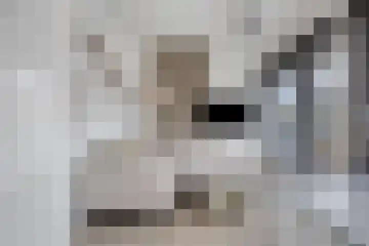 Vrachelsedijk 125 Oosterhout thumbnail 7