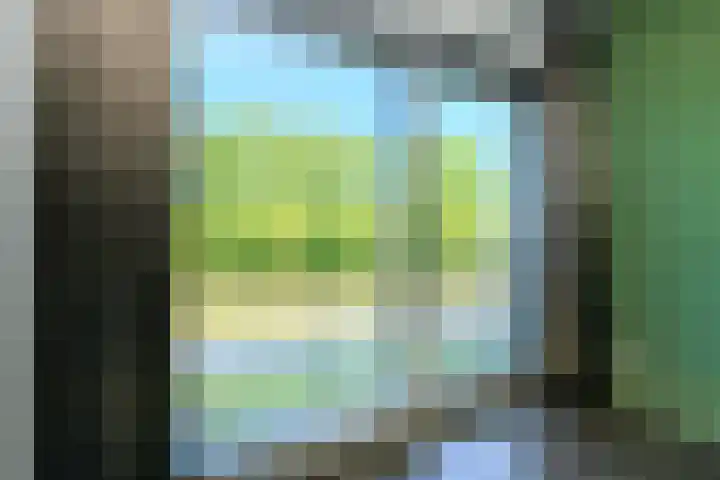 Vrachelsedijk 155 Oosterhout thumbnail 22