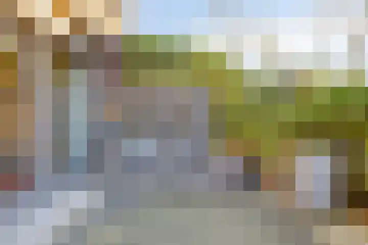 Vrachelsedijk 47 Oosterhout thumbnail 10