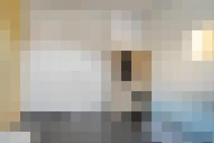 Vrachelsedijk 47 Oosterhout thumbnail 13
