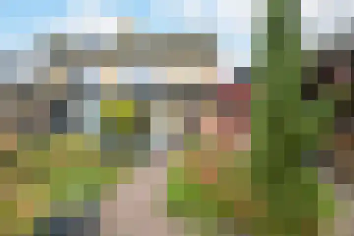 Vrachelsestraat 76 A Den Hout thumbnail 32