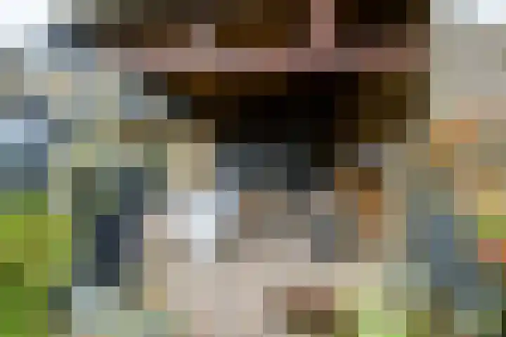 Vrachelsestraat 76 A Den Hout thumbnail 33